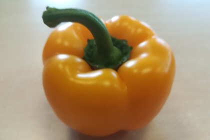 Paprika geel